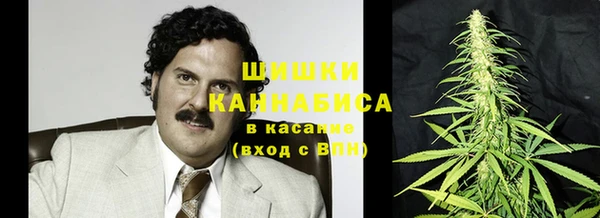 стаф Кинешма