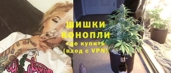 стаф Кинешма
