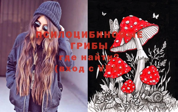 стаф Кинешма