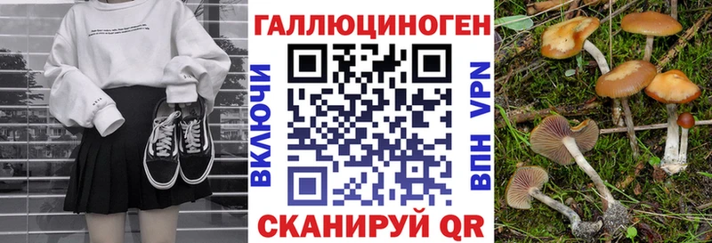 Псилоцибиновые грибы мицелий  Купить  Великий Устюг 